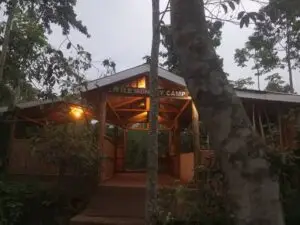 An outdoor campground at Little Monkey Camp showing green grass, a central stone fire pit, and safari tents set up along the edge of the dense Kibale rainforest.
