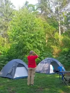 Camping tents under trees at Little Monkey Camp, the best camping site at Kibale Forest.