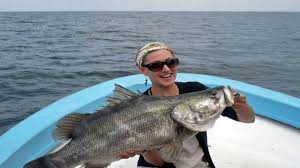 Nile perch fishing in Uganda