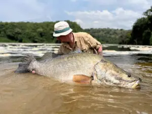 Nile Perch Fishing in Uganda best catch of giant fish