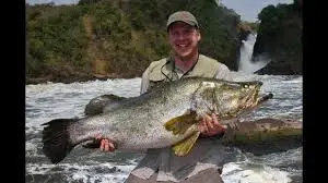Best fishing at Murchison falls Nile Perch Trophy Fishing