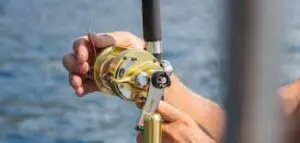 Reels and rods used by Peter's Fishing Tours