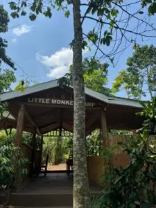 Where to Stay at Kibale Forest Freshly prepared dinner served at the Little Monkey Camp restaurant in lodges at Kibale Forest. Top camping sites at Kibale