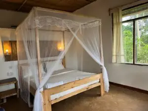 Affordable accommodation at Kibale forest in Uganda