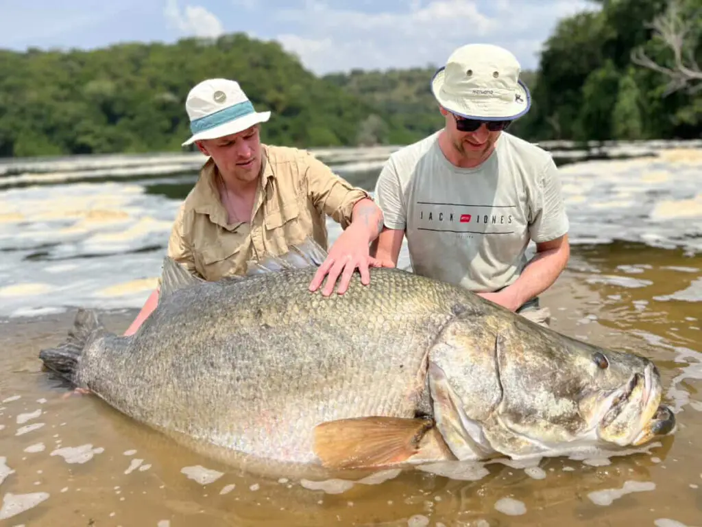 Learn fishing vocabulary in Uganda Sign Language (USL). Explore common fishing signs, techniques, equipment, and communication for learners, educators, and the Deaf community. Angler holding a giant Nile Perch caught during a luxury fishing safari in Uganda