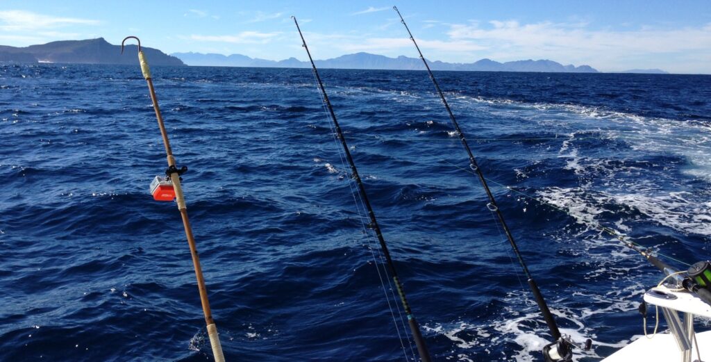 night full day fishing in Mombasa deep sea fishing