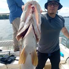 Nile Perch Fishing in Jinja I Peter's Fishing Tours