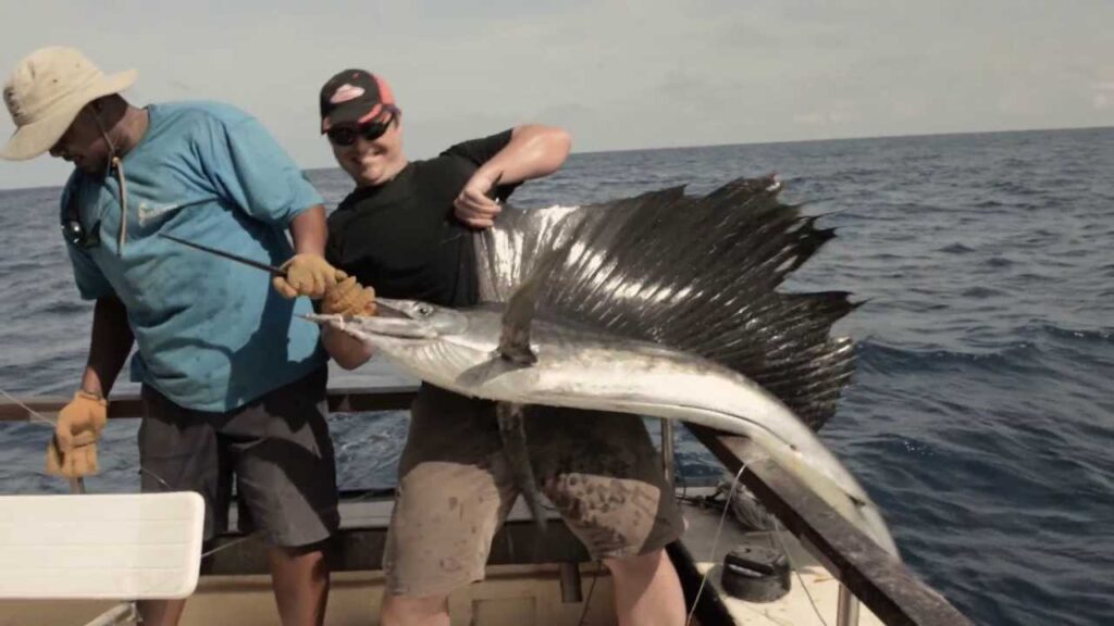 Mombasa Fishing Tours