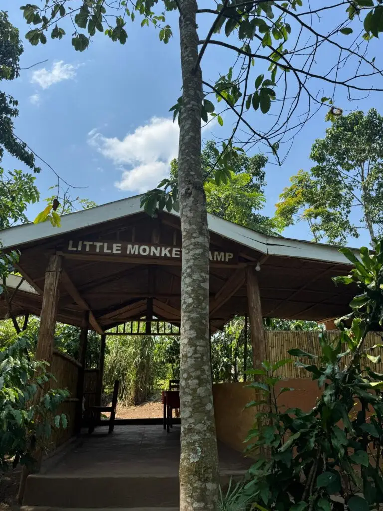 Where to Stay at Kibale Forest Freshly prepared dinner served at the Little Monkey Camp restaurant in lodges at Kibale Forest. Top camping sites at Kibale