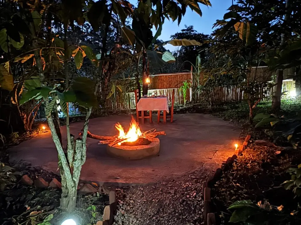 Camping at Kibale Forest in Uganda | Little Monkey Camp