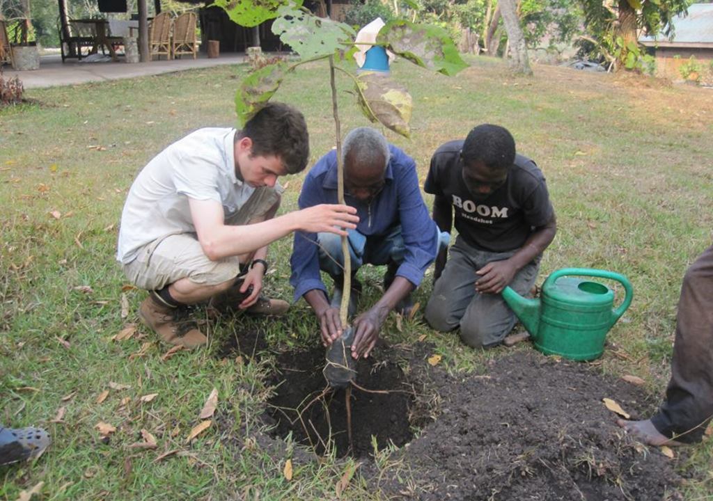 Volunteer in Uganda at Little Monkey Camp at Kibale forest
