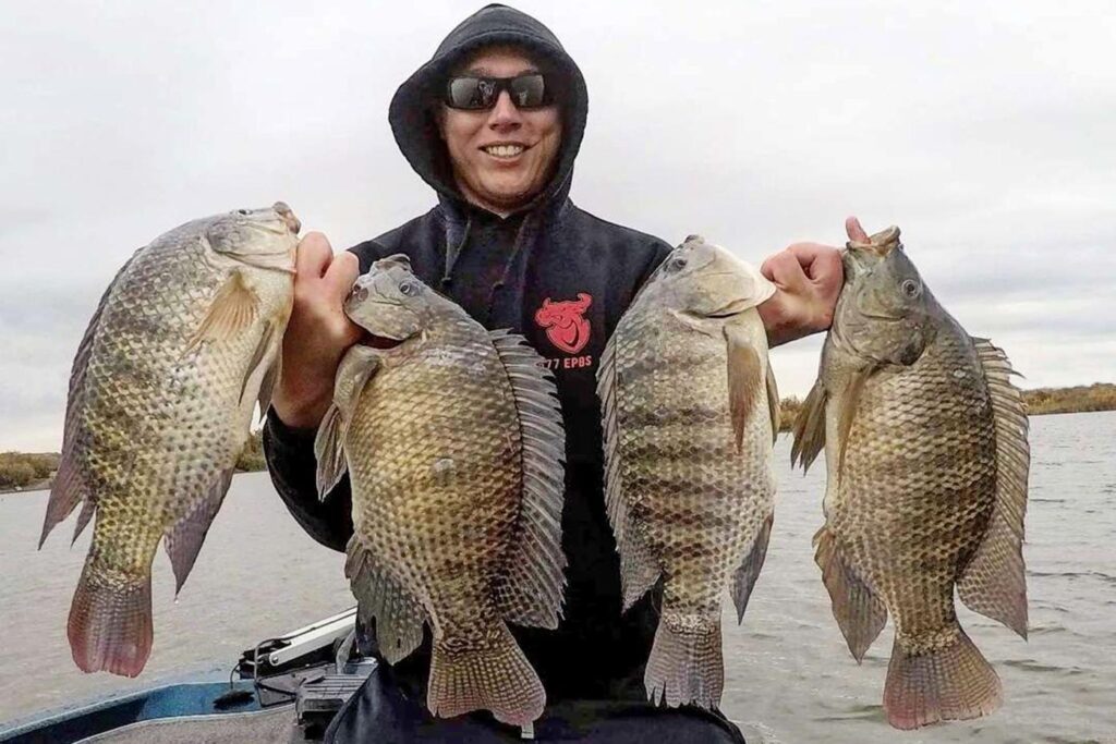 Nile Perch Fishing Jinja Tilapia Fishing on Lake Victoria | Uganda Fishing Safaris