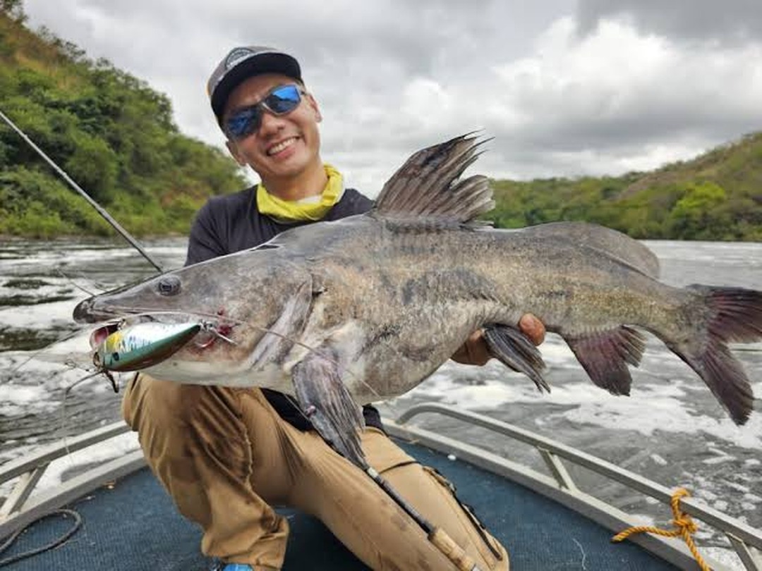 Best Time for Fishing in Uganda | Nile Perch Seasons Can you fish in Uganda all year – year-round Nile perch fishing safari on Lake Victoria and the River Nile
