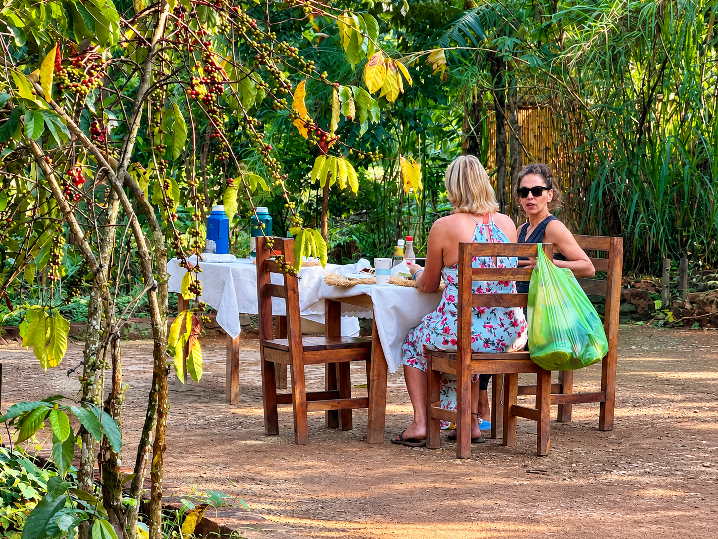 Vegetarian accommodation in Kibale at Little Monkey Camp near Kibale National Park