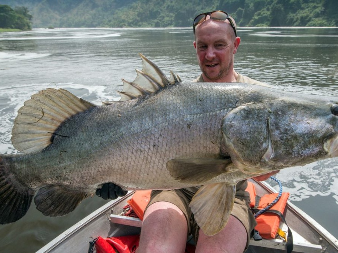 Fishing in Uganda | Best Fishing Safaris, Nile Perch & Fishing Tours Nile perch fishing at Murchison Falls – trophy sport fishing on the River Nile in Uganda