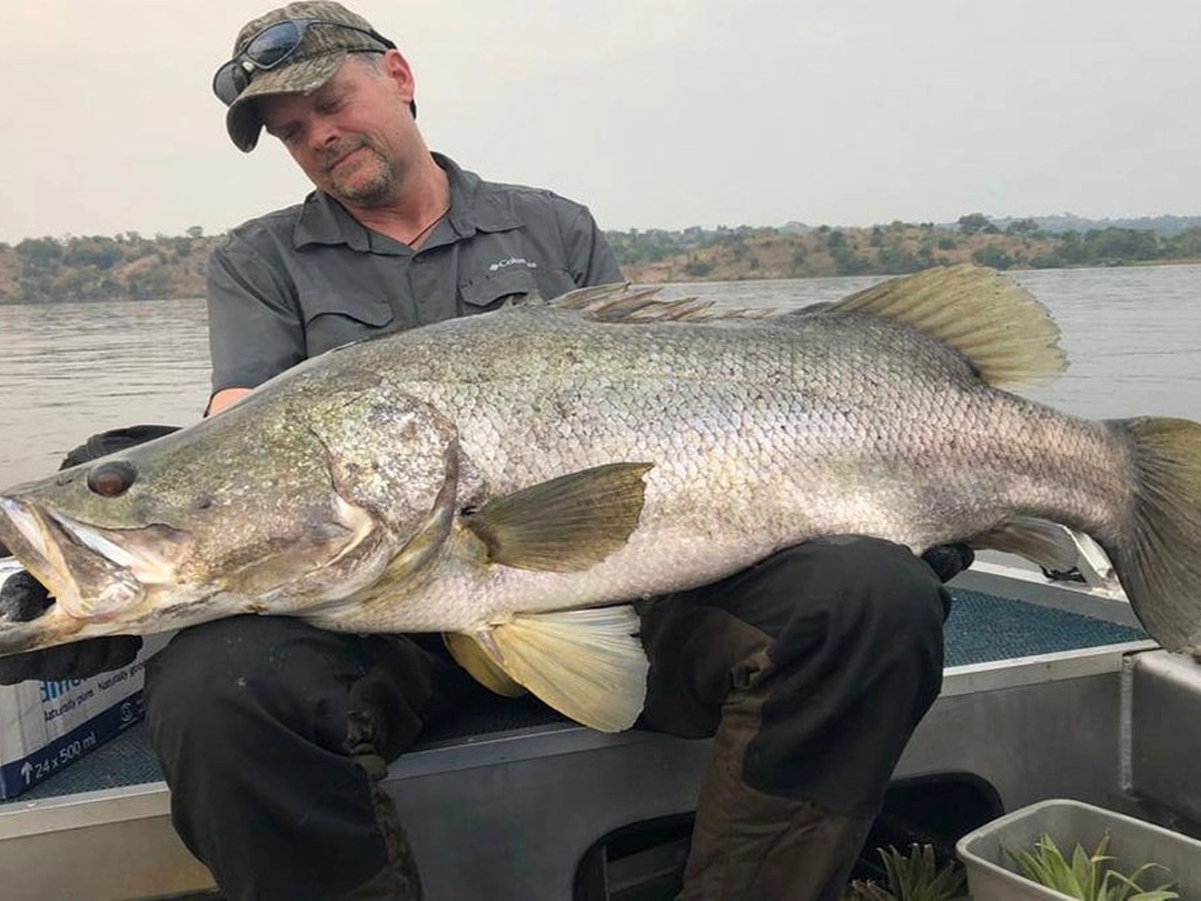 Murchison Falls Fishing | Nile Perch Fishing Safaris Trophy Nile perch fishing at Murchison Falls – giant Nile perch fishing safari on the River Nile in Uganda