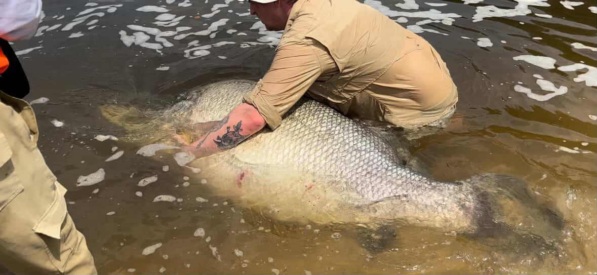 Murchison Falls Fishing | Nile Perch Fishing Safaris Catch-and-release fishing at Murchison Falls – responsible Nile perch fishing on the River Nile in Uganda