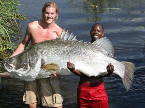 Sport-fishing-in-Lake-Mburo-national-park